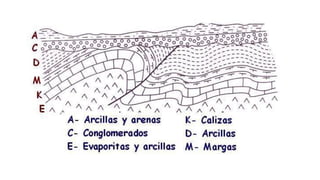 Tema 3 - Deformaciones corticales