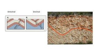 Anticlinal Sinclinal
 