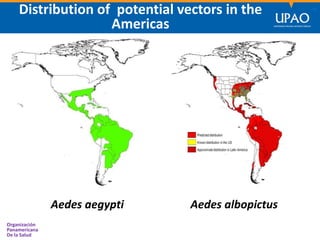 SECCIÓN DE POSTGRADO DE CIENCIAS DE LA COMUNICACIÓN
Organización
Panamericana
De la Salud
14
Aedes aegypti Aedes albopictus
Distribution of potential vectors in the
Americas
 