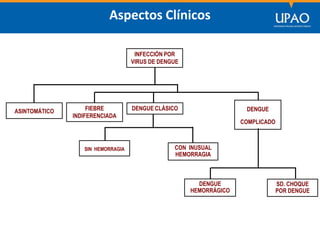 SECCIÓN DE POSTGRADO DE CIENCIAS DE LA COMUNICACIÓN
INFECCIÓN POR
VIRUS DE DENGUE
ASINTOMÁTICO FIEBRE
INDIFERENCIADA
DENGUE CLÁSICO DENGUE
COMPLICADO
SD. CHOQUE
POR DENGUE
CON INUSUAL
HEMORRAGIA
SIN HEMORRAGIA
DENGUE
HEMORRÁGICO
Aspectos Clínicos
 