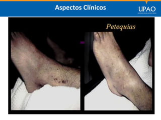 SECCIÓN DE POSTGRADO DE CIENCIAS DE LA COMUNICACIÓN
Aspectos Clínicos
 