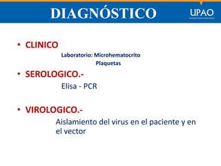 SECCIÓN DE POSTGRADO DE CIENCIAS DE LA COMUNICACIÓN
DIAGNÓSTICO
• CLINICO
Laboratorio: Microhematocrito
Plaquetas
• SEROLOGICO.-
Elisa - PCR
• VIROLOGICO.-
Aislamiento del virus en el paciente y en
el vector
 
