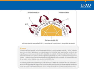 SECCIÓN DE POSTGRADO DE CIENCIAS DE LA COMUNICACIÓN
 