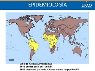SECCIÓN DE POSTGRADO DE CIENCIAS DE LA COMUNICACIÓN
EPIDEMIOLOGÍA
Vino de África a América Sur
1648 primer caso en Yucatán
1649 la tercera parte de Habana muere de posible FA
 