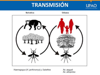 SECCIÓN DE POSTGRADO DE CIENCIAS DE LA COMUNICACIÓN
TRANSMISIÓN
 