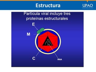 SECCIÓN DE POSTGRADO DE CIENCIAS DE LA COMUNICACIÓN
Estructura
 