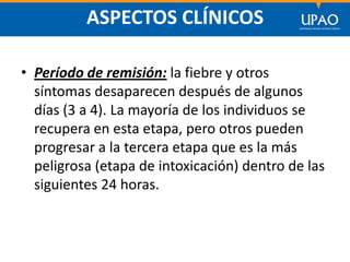 SECCIÓN DE POSTGRADO DE CIENCIAS DE LA COMUNICACIÓN
ASPECTOS CLÍNICOS
• Período de remisión: la fiebre y otros
síntomas desaparecen después de algunos
días (3 a 4). La mayoría de los individuos se
recupera en esta etapa, pero otros pueden
progresar a la tercera etapa que es la más
peligrosa (etapa de intoxicación) dentro de las
siguientes 24 horas.
 