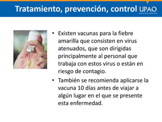 SECCIÓN DE POSTGRADO DE CIENCIAS DE LA COMUNICACIÓN
Tratamiento, prevención, control
• Existen vacunas para la fiebre
amarilla que consisten en virus
atenuados, que son dirigidas
principalmente al personal que
trabaja con estos virus o están en
riesgo de contagio.
• También se recomienda aplicarse la
vacuna 10 días antes de viajar a
algún lugar en el que se presente
esta enfermedad.
 