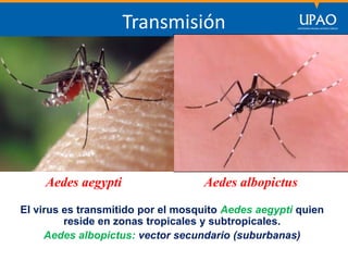 SECCIÓN DE POSTGRADO DE CIENCIAS DE LA COMUNICACIÓN
Transmisión
Aedes albopictusAedes aegypti
El virus es transmitido por el mosquito Aedes aegypti quien
reside en zonas tropicales y subtropicales.
Aedes albopictus: vector secundario (suburbanas)
 
