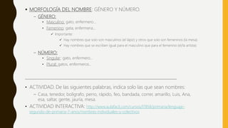  MORFOLOGÍA DEL NOMBRE: GÉNERO Y NÚMERO.
– GÉNERO:
• Masculino: gato, enfermero…
• Femenino; gata, enfermera…
 Importante:
 Hay nombres que solo son masculinos (el lápiz) y otros que solo son femeninos (la mesa).
 Hay nombres que se escriben igual para el masculino que para el femenino (el/la artista).
– NÚMERO:
• Singular: gato, enfermero…
• Plural: gatos, enfermeros…
_______________________________________________________________________
• ACTIVIDAD. De las siguientes palabras, indica solo las que sean nombres:
– Casa, tenedor, bolígrafo, perro, rápido, feo, bandada, correr, amarillo, Luis, Ana,
esa, saltar, gente, jauría, mesa.
• ACTIVIDAD INTERACTIVA: http://www.aulafacil.com/cursos/l7858/primaria/lenguaje-
segundo-de-primaria-7-anos/nombres-individuales-y-colectivos
 