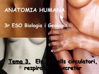 ANATOMIA HUMANA

3r ESO Biologia i Geologia




 Tema 3. Els aparells circulatori,
      respiratori i excretor
 
