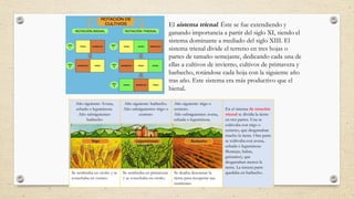 El sistema trienal. Éste se fue extendiendo y
ganando importancia a partir del siglo XI, siendo el
sistema dominante a mediado del siglo XIII. El
sistema trienal divide el terreno en tres hojas o
partes de tamaño semejante, dedicando cada una de
ellas a cultivos de invierno, cultivos de primavera y
barbecho, rotándose cada hoja con la siguiente año
tras año. Este sistema era más productivo que el
bienal.
Año siguiente: Avena,
cebada o leguminosa.
Año subsiguientes:
barbecho
Año siguiente: barbecho.
Año subsiguientes: trigo o
centeno
Año siguiente: trigo o
centeno.
Año subsiguientes: avena,
cebada o leguminosa.
En el sistema de rotación
trienal se dividía la tierra
en tres partes. Una se
cultivaba con trigo o
centeno, que desgastaban
mucho la tierra. Otra parte
se cultivaba con avena,
cebada o leguminosa
8lentejas, habas,
guisantes), que
desgastaban menos la
tierra. La tercera parte
quedaba en barbecho.
Se sembraba en otoño y se
cosechaba en verano.
Se sembraba en primavera
y se cosechaba en otoño.
Se dejaba descansar la
tierra para recuperar sus
nutrientes
 