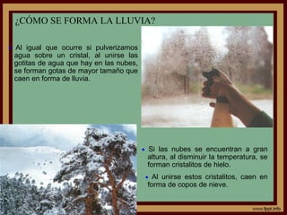 ¿CÓMO SE FORMA LA LLUVIA?

• Al igual que ocurre si pulverizamos
 agua sobre un cristal, al unirse las
 gotitas de agua que hay en las nubes,
 se forman gotas de mayor tamaño que
 caen en forma de lluvia.




                                         • Si las nubes se encuentran a gran
                                          altura, al disminuir la temperatura, se
                                          forman cristalitos de hielo.
                                         • Al unirse estos cristalitos, caen en
                                          forma de copos de nieve.
 