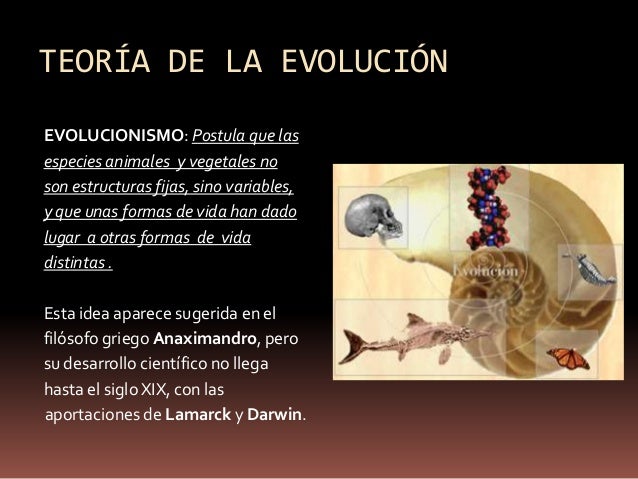 El postulado clave de la teoría evolucionista: Descubre su importancia en la ciencia_teoria_online Postulado de la teoria evolucionista_teoria_online