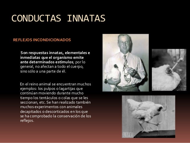 Tema 3 evolucion