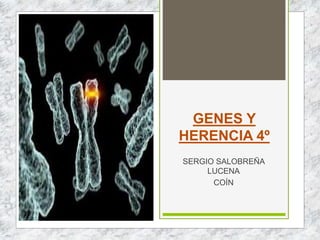 GENES Y
HERENCIA 4º
SERGIO SALOBREÑA
LUCENA
COÍN
 
