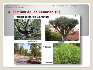 Col·legi Sant Josep- Reus Tema 3: Els climes d’Espanya
Geografia – 2n Bat
4. El clima de les Canàries (6)
 