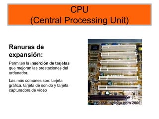 CPU
(Central Processing Unit)
Ranuras de
expansión:
Permiten la inserción de tarjetas
que mejoran las prestaciones del
ordenador.
Las más comunes son: tarjeta
gráfica, tarjeta de sonido y tarjeta
capturadora de vídeo
 