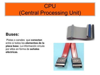 CPU
(Central Processing Unit)
Buses:
Pistas o canales que conectan
entre si todos los elementos de la
placa base. La información circula
por ellos en forma de señales
eléctricas.
 
