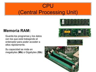 CPU
(Central Processing Unit)
Memoria RAM:
Guarda los programas y los datos
con los que está trabajando el
ordenador para poder acceder a
ellos rápidamente.
Su capacidad se mide en
megabytes (Mb) o Gigabytes (Gb)
 