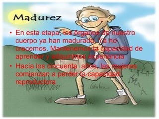 En esta etapa, los órganos de nuestro cuerpo ya han madurado. Ya no crecemos. Mantenemos la capacidad de aprender y adquirimos experiencia Hacía los cincuenta  años, las mujeres comienzan a perder la capacidad reproductora 
