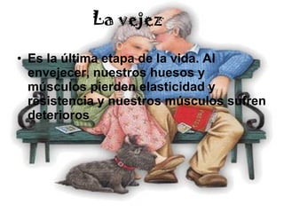 La vejez Es la última etapa de la vida. Al envejecer, nuestros huesos y músculos pierden elasticidad y resistencia y nuestros músculos sufren deterioros  