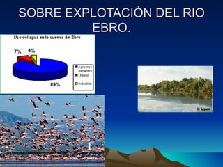 SOBRE EXPLOTACIÓN DEL RIO
         EBRO.
 