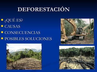 DEFORESTACIÓN
   ¿QUÉ ES?
   CAUSAS
   CONSECUENCIAS
   POSIBLES SOLUCIONES
 