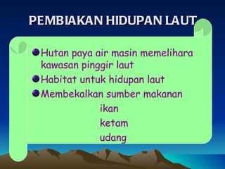 Kepentingan hutan paya air masin