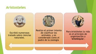 Aristosteles

Escribió numerosos
tratado sobre ciencias
naturales.

Realizo el primer intento
de clasificar los
animales, y es
considerado como el
padre de la zoología

Para Aristóteles la vida
es el principio de
organización o
"entelequia".

 