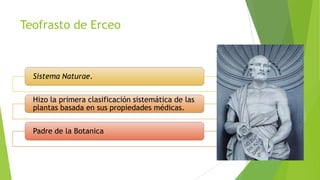 Teofrasto de Erceo

Sistema Naturae.
Hizo la primera clasificación sistemática de las
plantas basada en sus propiedades médicas.
Padre de la Botanica

 