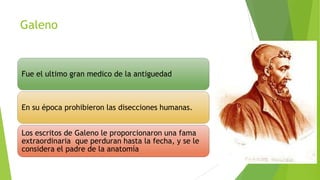 Galeno

Fue el ultimo gran medico de la antiguedad

En su época prohibieron las disecciones humanas.
Los escritos de Galeno le proporcionaron una fama
extraordinaria que perduran hasta la fecha, y se le
considera el padre de la anatomía

 