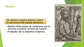 Vesalio

De humani corporis fabrica (Sobre
la estructura del cuerpo humano).

• Realizo disecciones de cadáveres que lo
llevaron a señalar errores de Galeno.
• Fundador de la anatomía moderna.

 