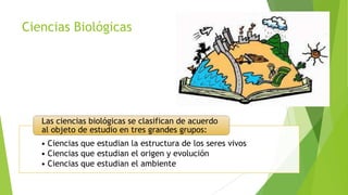 Ciencias Biológicas

Las ciencias biológicas se clasifican de acuerdo
al objeto de estudio en tres grandes grupos:

• Ciencias que estudian la estructura de los seres vivos
• Ciencias que estudian el origen y evolución
• Ciencias que estudian el ambiente

 