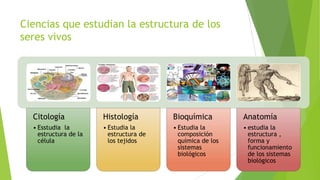 Ciencias que estudian la estructura de los
seres vivos

Citología

Histología

Bioquímica

Anatomía

• Esstudia la
estructura de la
célula

• Estudia la
estructura de
los tejidos

• Estudia la
composición
química de los
sistemas
biológicos

• estudia la
estructura ,
forma y
funcionamiento
de los sistemas
biológicos

 