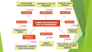 CLASIFICACIÓN
DE LOS ORGANISMOS

DESARROLLO DE LOS
EMBRIONES
ESTUDIA

ESTUDIA

TAXONOMÍA

EVOLUCIÓN

EMBRIOLOGÍA

CAMPOS RELACIONADOS
CON LOS ORGANISMOS

ESTUDIA

FUNCIÓN A NIVEL
ORGÁNICO
ESTUDIA

FISIOLOGÍA

GENÉTICA
ESTUDIA

VARIACIÓN Y
HERENCIA

CAMBIOS EN EL
TIEMPO
MORFOLOGÍA
BIOQUÍMICA Y
BIOFÍSICA
ESTUDIA

ESTRUCTURA Y FUNCIÓN
A NIVEL MOLECULAR

ESTUDIA

ECOLOGÍA
ESTUDIA

FORMA Y
ESTRUCTURA

RELACIÓN DE LOS ORGANISMOS CON SU MEDIO
AMBIENTE

 