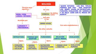 BIOLOGÍA
Término que
significa

Es una
CIENCIA

BIOS= VIDA
LOGOS= ESTUDIO

Se define
como

“QUIEN ESTUDIA
LAS MUL TIPLES
FORMAS QUE PUEDEN ADOPTAR
LOS SERES VIVOS, SU ESTRUCTURA,
FUNCIÓN, EVOLUCIÓN, DE- SARROLLO
Y SU RELA- CIÓN CON EL MEDIO AMBIENTE”

Est udia
a los

Acuñado por

SERES VIVOS
Con esto englobamos a

LAMARCK Y
TREVIRANUS

ESTRUCTURA
Ejem.
CORAZÓN
PULMONES
CELULAR

De ellos estudia

FORMAS QUE
ADOPTAN
Ejem.
ANIMAL
VEGETAL
BACTERIA

FUNCIONES
Ejem.
NUTRICIÓN
REPRODUCCIÓN
SÍNTESIS

RELACIÓN
CON EL MEDIO
Ejem.
DONDE VIVE
HÁBITOS

EVOLUCIÓN
Ejem.
EVOLUCIÓN
HUMANA

 