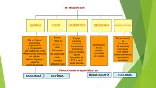 se relaciona con

QUÍMICA

•Da a conocer
la compleja
organización
y composición
de sustancias vivas
•Reacciones químicas
en células,
tejidos, órganos y
sistemas.
Como la glucosa

FÍSICA

Estado
físico, la
presión y
otros
fenómenos
de sustancias
vivas.
Como los
glóbulos rojos

MATEMÁTICA

Explica
mediante
números
los diversos
fenómenos
que se estudia.
Ejm la
formación de
ATP a partir
de la glucosa

GEOGRAFÍA

Distribución
de las
plantas
y animales
en la tierra.

PALEONTOLOGIA

Da a conocer
la
evolución
de los seres
vivos pues
sus restos
se encuentran en
los estratos
terrestres.

Al relacionarse se especializan en

BIOQUÍMICA

BIOFÍSICA

BIOGEOGRAFÍA

ECOLOGIA

 
