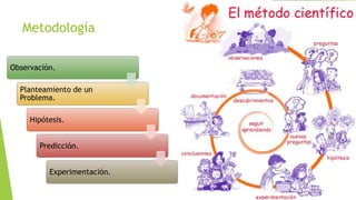 Metodología
Observación.
Planteamiento de un
Problema.
Hipótesis.
Predicción.
Experimentación.

 