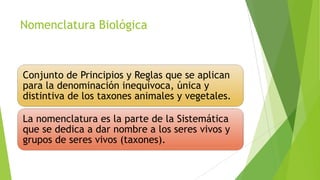 Nomenclatura Biológica

Conjunto de Principios y Reglas que se aplican
para la denominación inequívoca, única y
distintiva de los taxones animales y vegetales.
La nomenclatura es la parte de la Sistemática
que se dedica a dar nombre a los seres vivos y
grupos de seres vivos (taxones).

 