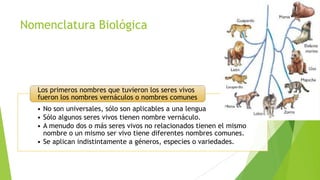 Nomenclatura Biológica

Los primeros nombres que tuvieron los seres vivos
fueron los nombres vernáculos o nombres comunes

• No son universales, sólo son aplicables a una lengua
• Sólo algunos seres vivos tienen nombre vernáculo.
• A menudo dos o más seres vivos no relacionados tienen el mismo
nombre o un mismo ser vivo tiene diferentes nombres comunes.
• Se aplican indistintamente a géneros, especies o variedades.

 