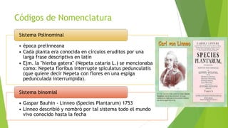 Códigos de Nomenclatura
Sistema Polinominal
• época prelinneana
• Cada planta era conocida en círculos eruditos por una
larga frase descriptiva en latín
• Ejm. la "hierba gatera" (Nepeta cataria L.) se mencionaba
como: Nepeta floribus interrupte spiculatus pedunculatis
(que quiere decir Nepeta con flores en una espiga
pedunculada interrumpida).
Sistema binomial

• Gaspar Bauhin - Linneo (Species Plantarum) 1753
• Linneo describió y nombró por tal sistema todo el mundo
vivo conocido hasta la fecha

 