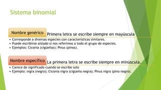 Sistema binomial
Nombre genérico Primera letra se escribe siempre en mayúscula
• Corresponde a diversas especies con características similares.
• Puede escribirse aislado si nos referimos a todo el grupo de especies.
• Ejemplos: Ciconia (cigüeñas); Pinus (pinos).

Nombre específico La primera letra se escribe siempre en minúscula.
• Carece de significado cuando se escribe solo
• Ejemplo: nigra (negro); Ciconia nigra (cigüeña negra); Pinus nigra (pino negro).

 