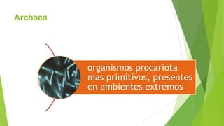 Archaea

organismos procariota
mas primitivos, presentes
en ambientes extremos

 