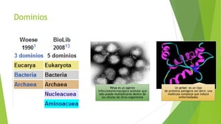 Dominios

Virus es un agente
infecciosomicroscópico acelular que
sólo puede multiplicarse dentro de
las células de otros organismos

Un prion1 es un tipo
de proteína patógena (es decir, una
molécula compleja que induce
enfermedades

 