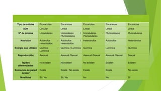 Moneras
Tipo de células

Protoctistas

Hongos

Plantas

Animales

Procariotas

Eucariotas

Eucariotas

Eucariotas

Eucariotas

Circular

Lineal

Lineal

Lineal

Lineal

Nº de células

Unicelulares

Unicelulares
Pluricelulares

/

Unicelulares
Pluricelulares

Pluricelulares

Pluricelulares

Nutrición

Autótrofos
Heterótrofos

/

Autótrofos
Heterótrofos

/

Heterótrofos

Autótrofos

Heterótrofos

Energía que utilizan

Química
Luminica

/

Química / Luminica

Química

Luminica

Química

Reproducción

Asexual

Asexual /Sexual

Asexual /Sexual

Asexual /Sexual

Sexual

Tejidos
diferenciados

No existen

No existen

No existen

Existen

Existen

Existencia de pared
celular

Existe

Existe / No existe

Existe

Existe

No existe

Movilidad

Sí / No

Sí / No

No

No

Sí

ADN

/

 