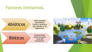 Factores limitativos.

Abióticos

todos aquellos
parámetros
físicos o químicos
que afectan a los
organismos.

Bióticos

interacciones
entre los seres
vivos del
ecosistema.

 