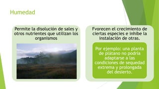 Humedad
Permite la disolución de sales y
otros nutrientes que utilizan los
organismos

Fvorecen el crecimiento de
ciertas especies e inhibe la
instalación de otras.
Por ejemplo: una planta
de plátano no podría
adaptarse a las
condiciones de sequedad
extrema y prolongada
del desierto.

 
