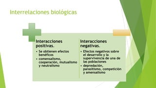 Interrelaciones biológicas

Interacciones
positivas.

Interacciones
negativas.

• Se obtienen efectos
• Efectos negativos sobre
benéficos
el desarrollo y la
supervivencia de una de
• comensalismo,
las poblaciones
cooperación, mutualismo
y neutralismo
• depredación,
parasitismo, competición
y amensalismo

 