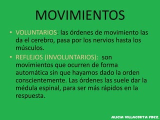 MOVIMIENTOS
• VOLUNTARIOS: las órdenes de movimiento las
da el cerebro, pasa por los nervios hasta los
músculos.
• REFLEJOS (INVOLUNTARIOS): son
movimientos que ocurren de forma
automática sin que hayamos dado la orden
conscientemente. Las órdenes las suele dar la
médula espinal, para ser más rápidos en la
respuesta.
 
